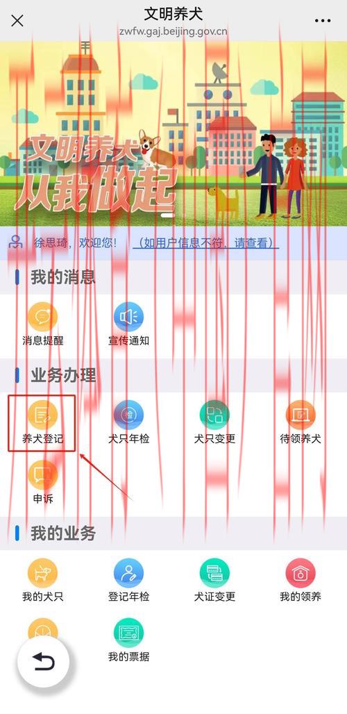 体育皇冠要身份证, 如何通过身份证验证提升体育活动的安全性与透明度